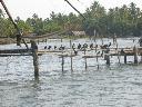 img_0053.jpg